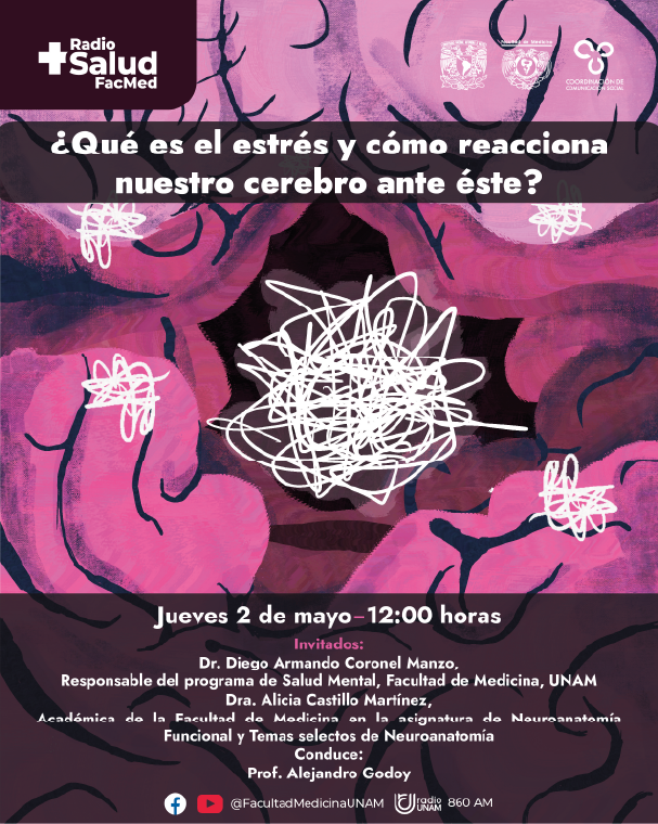 Cartel ilustrado sobre estrés y cerebro