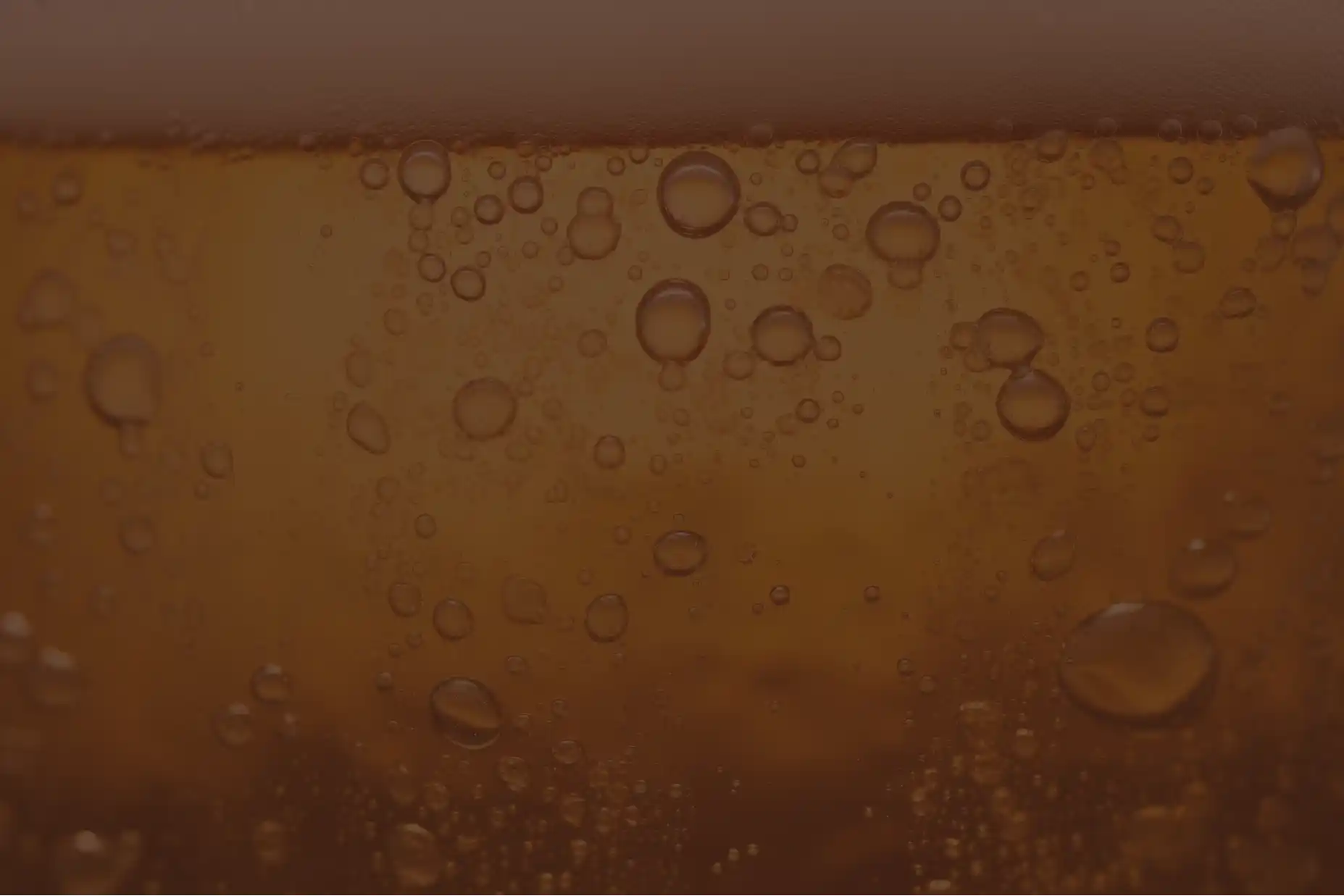 Fondo del proyecto Xincuala